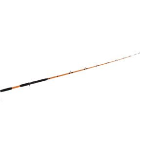 Catfish Pro Tournament Series Casting Fishing Rod