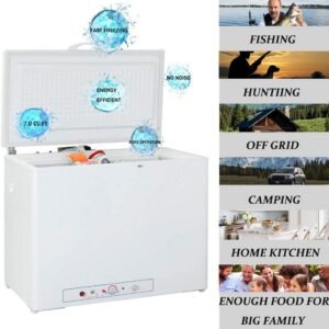 Propane Gas Chest Freezer
