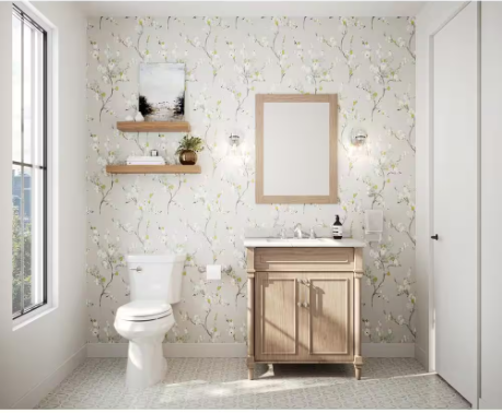 Single Flush Elongated Toilet in White