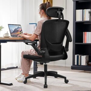 Ergonomic Desk Chair