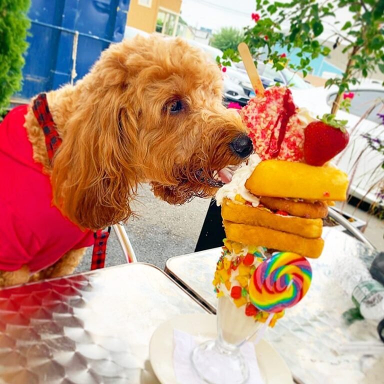 Elm Street Diner Puppy Milkshake 768x768