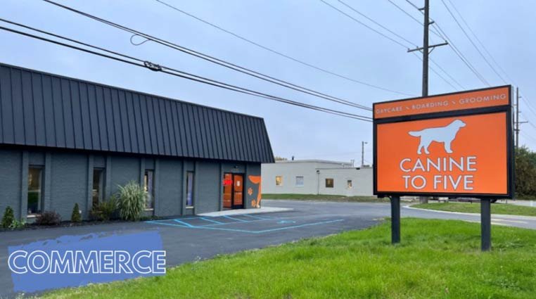 Canine To FIve Commerce