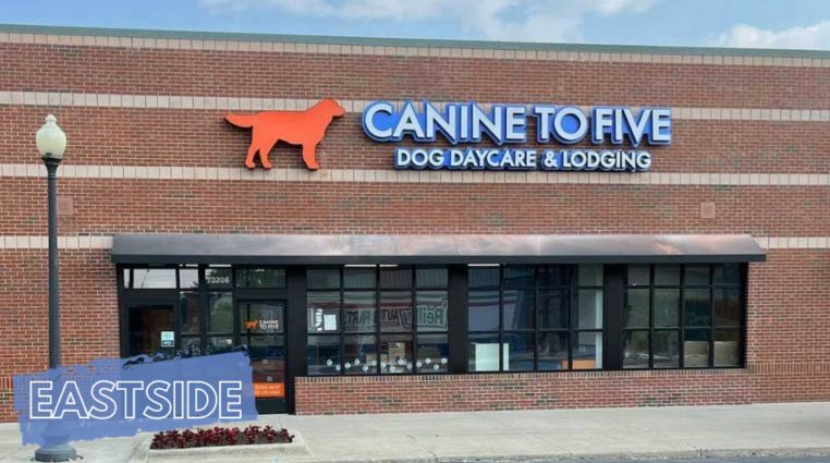 Canine To FIve Eastside Location