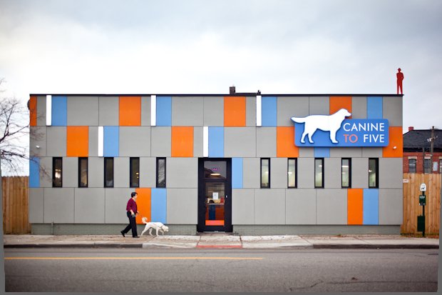 Canine To FIve Midtown Location