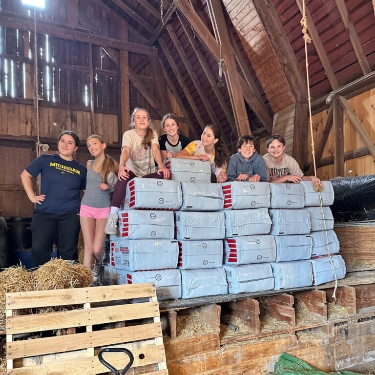 Bowers Farm Haystacks 768x768