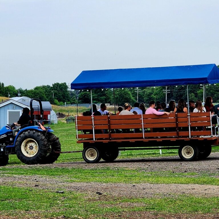 Bowers Farm Wagon Ride 768x768